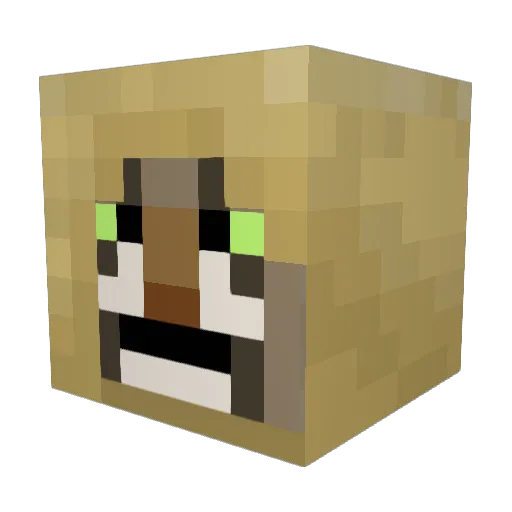 LessyMeow Minecraft avatar head, 3D render