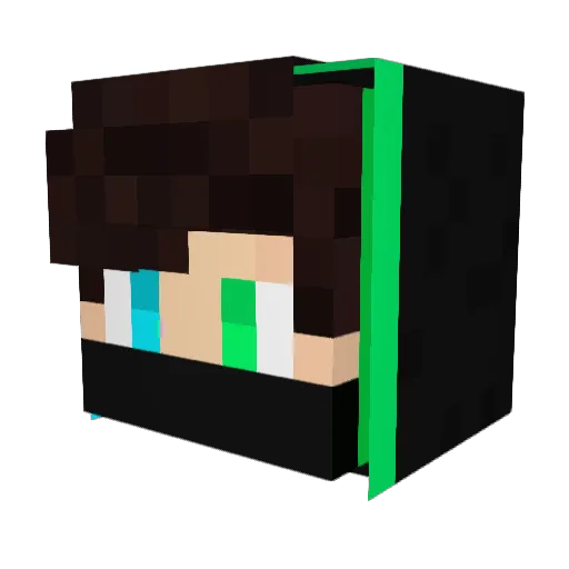 LesterWu Minecraft avatar head, 3D render