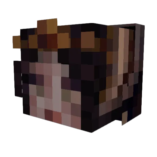 Lestius Minecraft avatar head, 3D render