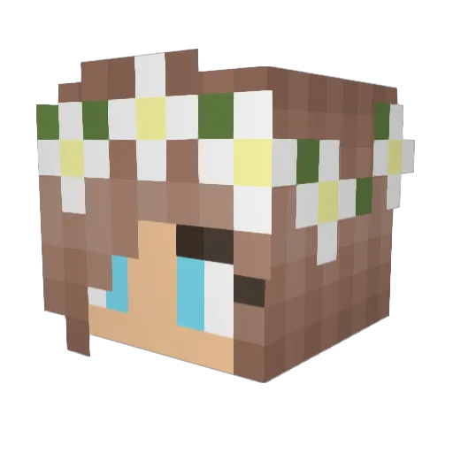 Lestzz Minecraft avatar head, 3D render