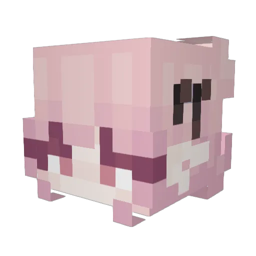 Lesy333 Minecraft avatar head, 3D render