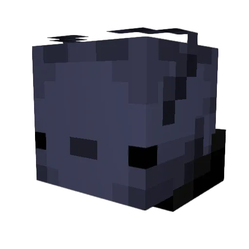 Leszek2137 Minecraft avatar head, 3D render