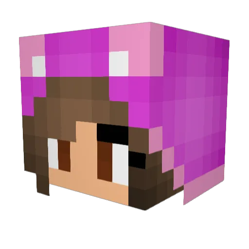 Leszlee Minecraft avatar head, 3D render