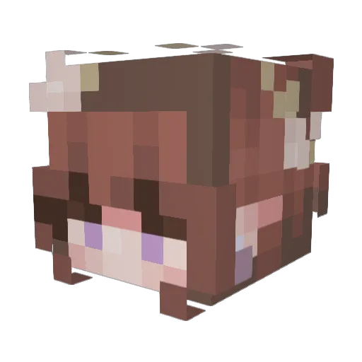 Let55_ Minecraft avatar head, 3D render