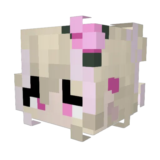 LetMeSeeYourCat Minecraft avatar head, 3D render