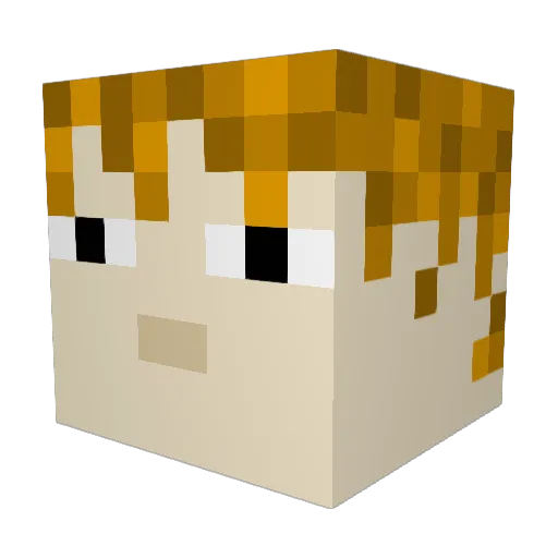 LetUsPlay8 Minecraft avatar head, 3D render