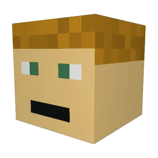 Letecii Minecraft avatar head, 3D render