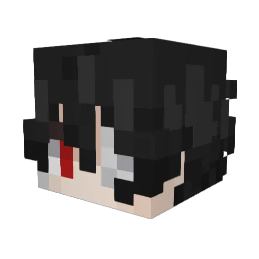 LethalAether Minecraft avatar head, 3D render