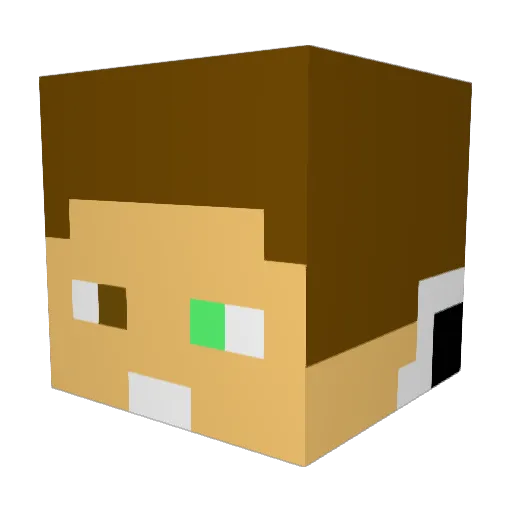 LethalCloud999 Minecraft avatar head, 3D render