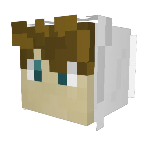 LethalLukeYT Minecraft avatar head, 3D render