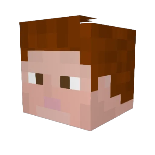 LethalMite1 Minecraft avatar head, 3D render