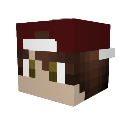 LethalTunaFish Minecraft avatar head, 3D render