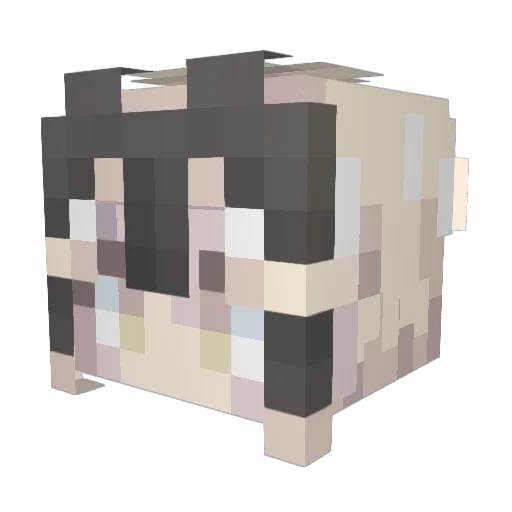 Letiaf Minecraft avatar head, 3D render