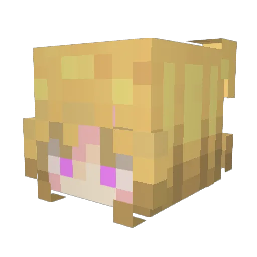 Leticia_S Minecraft avatar head, 3D render