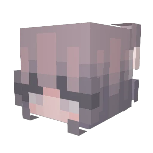 Letmechill__ Minecraft avatar head, 3D render