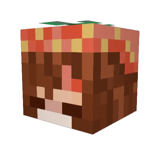 Letra16 Minecraft avatar head, 3D render