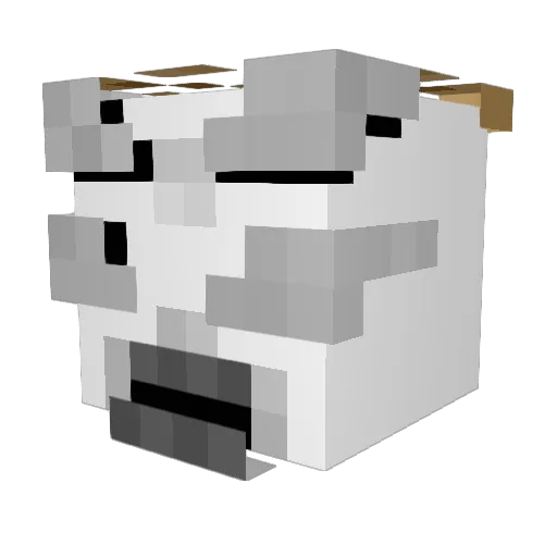LetsAHA Minecraft avatar head, 3D render