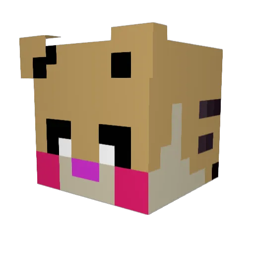 LetsEatTACOS Minecraft avatar head, 3D render