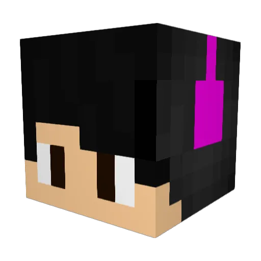 LetsFresh Minecraft avatar head, 3D render
