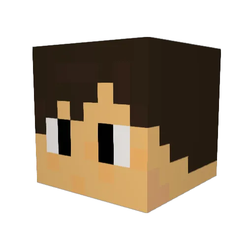 LetsGamers Minecraft avatar head, 3D render