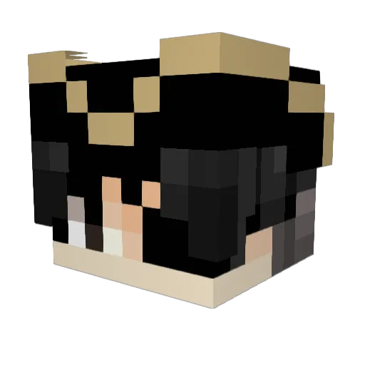 LetsGetTr0pical Minecraft avatar head, 3D render