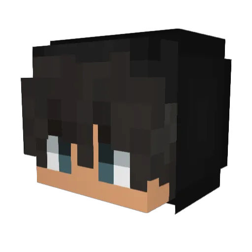 LetsGoBrandon10 Minecraft avatar head, 3D render