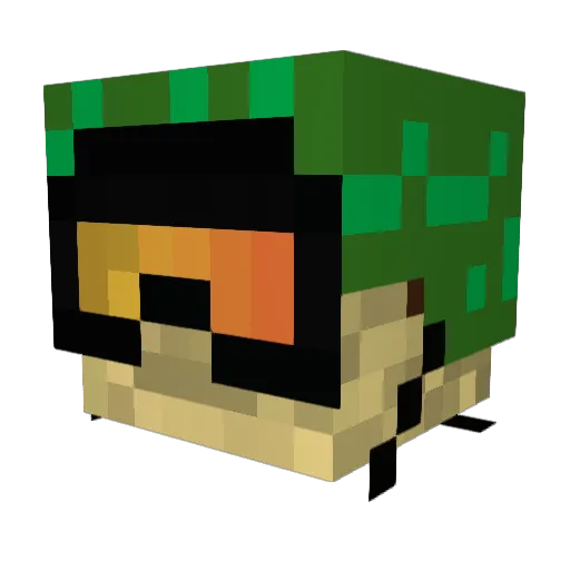 LetsR4AGE Minecraft avatar head, 3D render