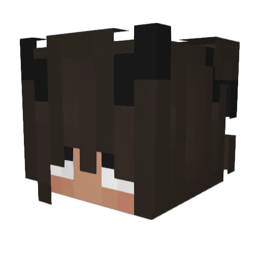 LetsTaddl Minecraft avatar head, 3D render