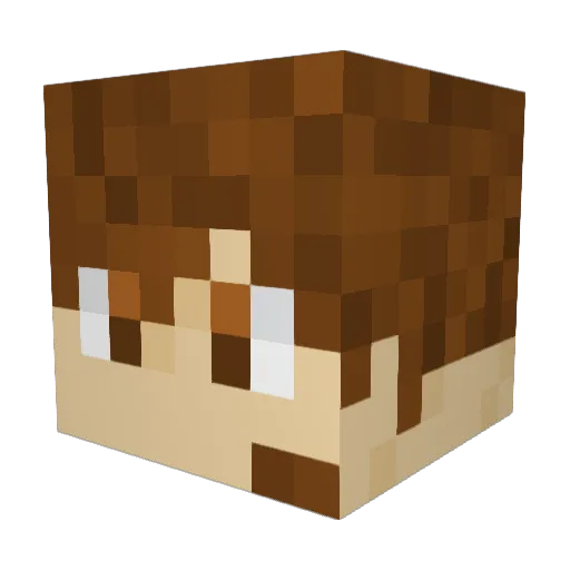 Letsgobro12345 Minecraft avatar head, 3D render