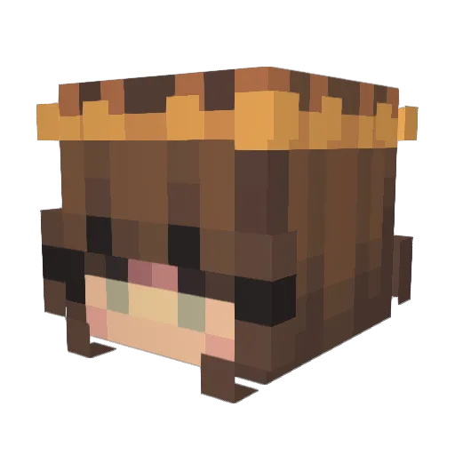 Lett_brait Minecraft avatar head, 3D render