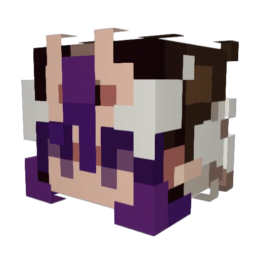 LetterSpam Minecraft avatar head, 3D render