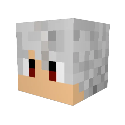 Letti96 Minecraft avatar head, 3D render