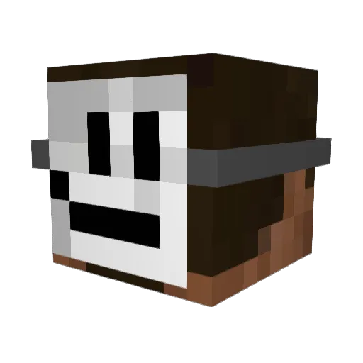 Lettuce_enjoyer_ Minecraft avatar head, 3D render