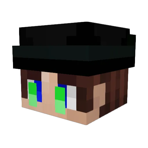 LetzFlaye Minecraft avatar head, 3D render