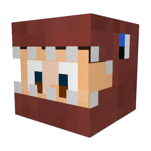 Leudic Minecraft avatar head, 3D render