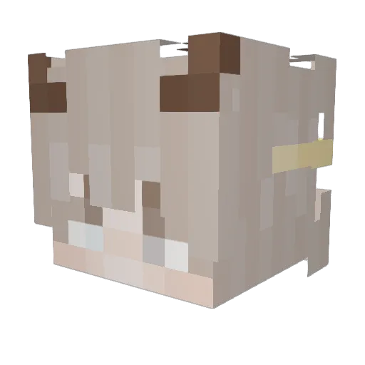 Leught Minecraft avatar head, 3D render