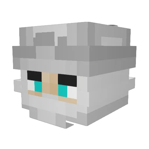 Leuis_5000 Minecraft avatar head, 3D render