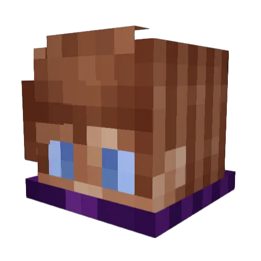 Leukocyte42 Minecraft avatar head, 3D render