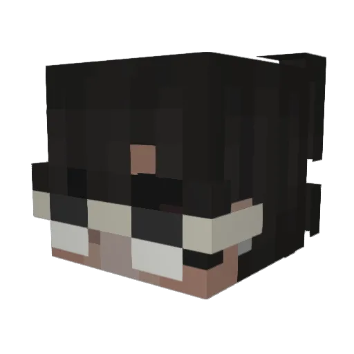 Leumasity Minecraft avatar head, 3D render