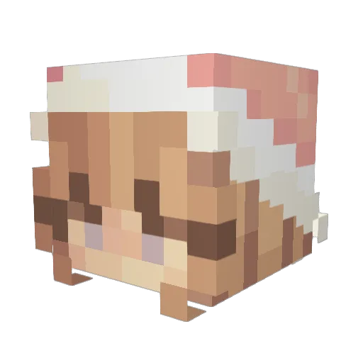 Leushka18 Minecraft avatar head, 3D render