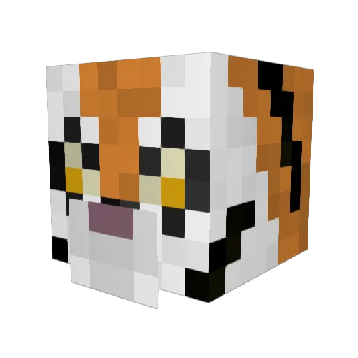 Leusus Minecraft avatar head, 3D render