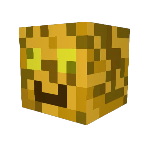 Lev___Pro Minecraft avatar head, 3D render