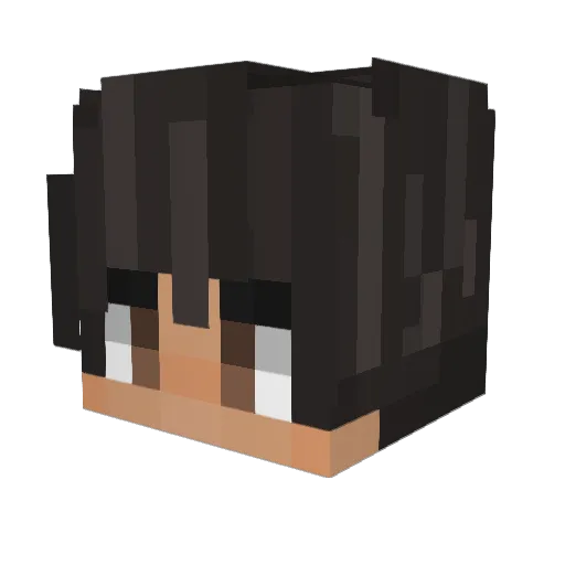 Levan2000 Minecraft avatar head, 3D render