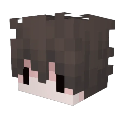 Leveane Minecraft avatar head, 3D render