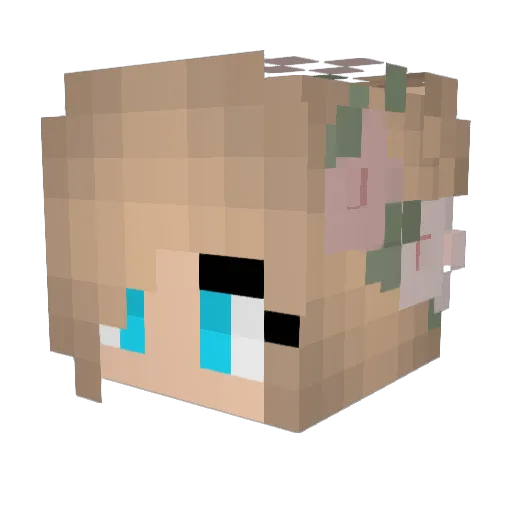 Leveja21 Minecraft avatar head, 3D render