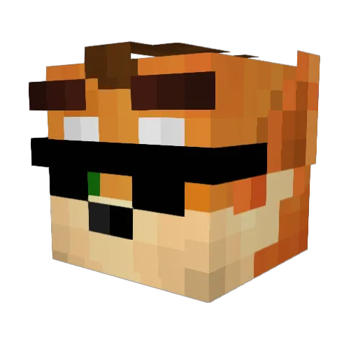 LevelBandicoot Minecraft avatar head, 3D render