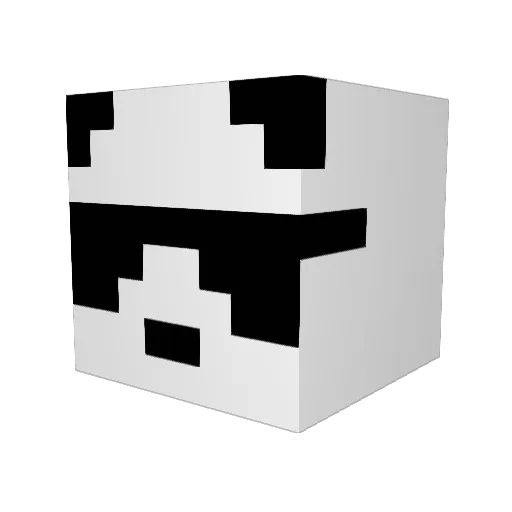 Level_4 Minecraft avatar head, 3D render