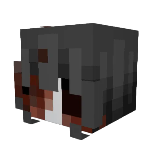 Levenae Minecraft avatar head, 3D render