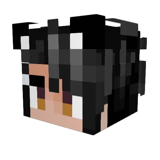 Levente_Zigi Minecraft avatar head, 3D render
