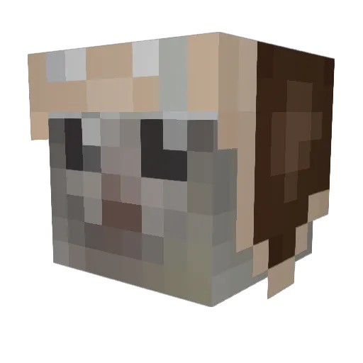 Leverna Minecraft avatar head, 3D render